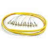 Sell Bunched Optical Fiber Fan-Out pigtail