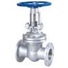 Gate Valve