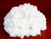 Sell Cellulose Ether Grade Specialty Cotton Linter Pulp