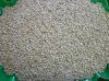 Ethiopian Whitish Sesame Seed Humera Type