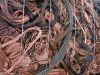 Copper Wire Scraps Suppliers | Copper Scrap Exporters | Copper Scrap Manufacturers | Cheap Copper Scrap | Wholesale Copper Scraps | Discounted Copper Scrap | Bulk Copper Scraps | Copper Scrap Buyer | Import Copper Scrap | Copper Scrap Importers | Copper S