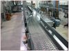 Sell Chain conveyor