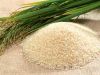 Viet Nam high quality rice