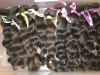 Sell Virgin Hair