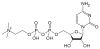 Sell CDP Choline