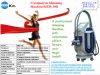 Selling Cryolipolysis+Vacuum Slimming Machine