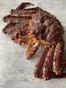 Live Red King Crab