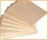 Sell Full Poplar Plywood