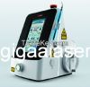 810nm&980nm Dual Wavelength Ent Surgery Laser