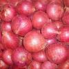 Fresh Onion (red & Yellow)