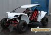 2014 BFR Condor 800 Ruv(4wd)