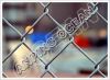 Sell Chain Link Fence