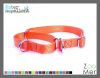 Water Repellent Twilled-Nylon: Dual Way Martingale Dog Training collar