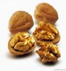 Walnuts