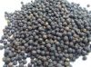 Black Pepper on sale