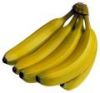 Cavendish Banana