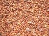 COCOA BEANS AND SUN FLOWER OIL FOR SALE