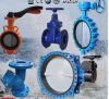 Sell Various Valve