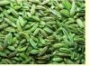 Sell Fennel Seeds