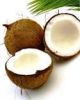 RFQ - Fresh Coconuts