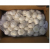 Sell Pure White Garlic