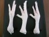  Export Chicken Paw | Chicken Feet Suppliers | Poultry Feet Exporters | Chicken Feets Traders | Processed Chicken Paw Buyers | Frozen Poultry Paw Wholesalers | Low Price Freeze Chicken Paw | Best Buy Chicken Paw | Buy Chicken Paw | Import Chicken Paw | Ch