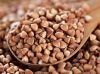 buckwheat