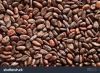 cocoa beans