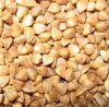 New Roasted Buckwheat Kernels, Inner Mongolia, China