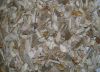 Supply of Crushed Bone from Dhaka, Bangladesh (For Gelatin Manufacturi