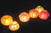 Biodegradable floating water lanterns