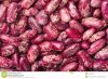 Kidney Beans