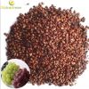 Sell grape seed oil extract