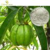 Sell Garcinia Cambogia Powder Extract Hydroxycitric acid