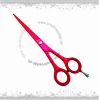 Barber Hairdressing Cutting Scissors Beauty Salon equipment