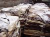 WET SALTED CATTLE HIDES