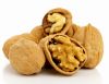 Qualitative Walnuts