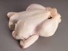 High Quality Halal Frozen Whole Chicken