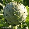 Sell Artichoke Extract