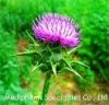 Sell The Silybum Marianum G.