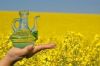 Sell rapeseed oil