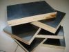 Plywood board with competitive prices