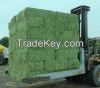 Top Quality Alfafa Hay For Animal feeding stuff Alfalfa /