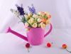 Sell Colored sweetpea mini metal watering can