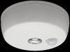 Sell Motion Sensor Ceiling Light