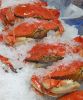 Frozen Crabs for sell