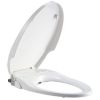 Sell T8107 Toilet Bidet Seat