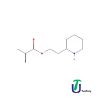 Piperidinoethyl methacrylate