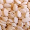 Sell sesame seeds, jatrophe seeds