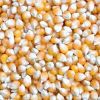 Sell yellow corn, soybeans